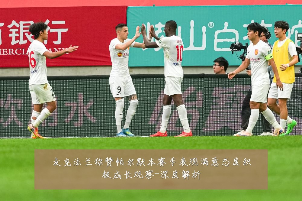 麦克法兰称赞帕尔默本赛季表现满意态度积极成长观察-深度解析